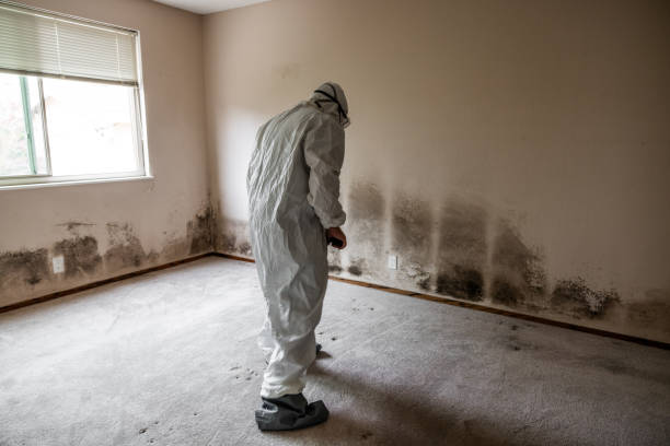 Mold Remediation for Vacation Homes in Valley City, ND